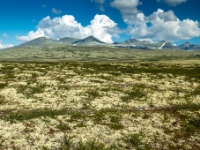 Rondane Nasjonalpark